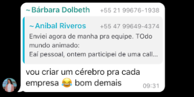 Um cérebro para cada empresa